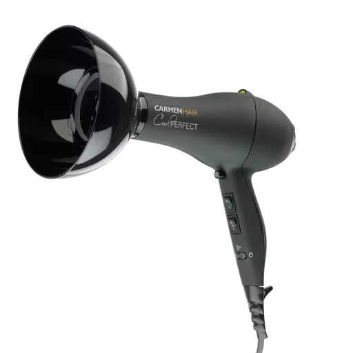 Curl Perfection Ionic Dryer