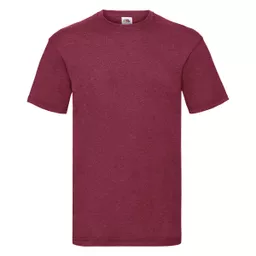 Men's Valueweight T-Shirt