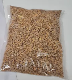 wheat-seeds.jpg