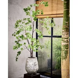 Screenshot 2026-01-28 at 12.26.24.png