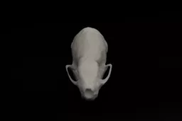 Weasel 4.jpg