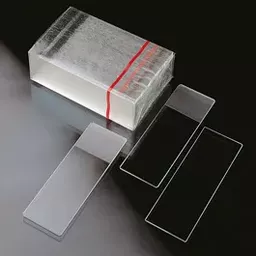 17702091570d4cfa9bfa6166c388785bc46735e811.png?