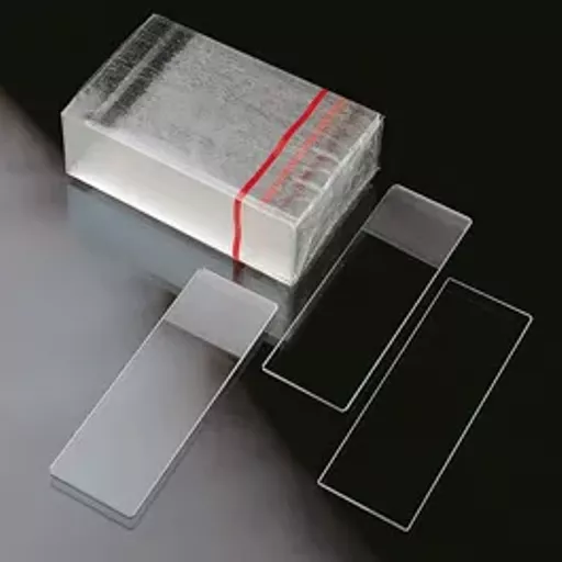 17702091570d4cfa9bfa6166c388785bc46735e811.png?