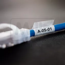 xtllaminatedjpg_2.jpg?