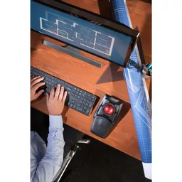 x4Eyb1ZF4UiqInUANAnN8Q.c-r.jpg?