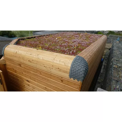 GrufeKit Sedum and Wildflower Roof Trays on Cabin.jpg