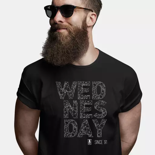 Sheffield Wednesday FC Wireframe Men's T-Shirt - Black