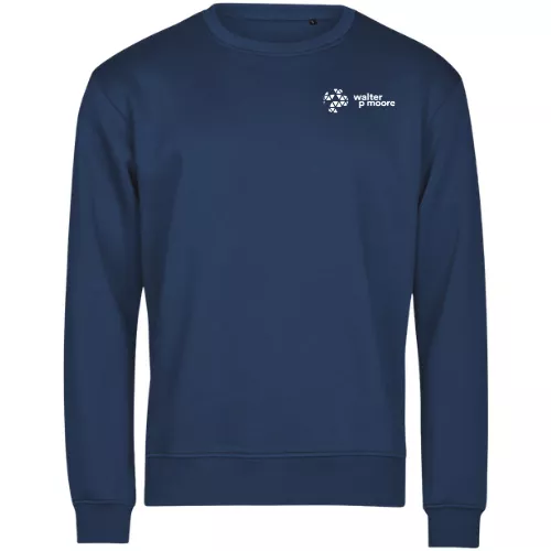 Walter P Moore TeeJays Mens Sweatshirt