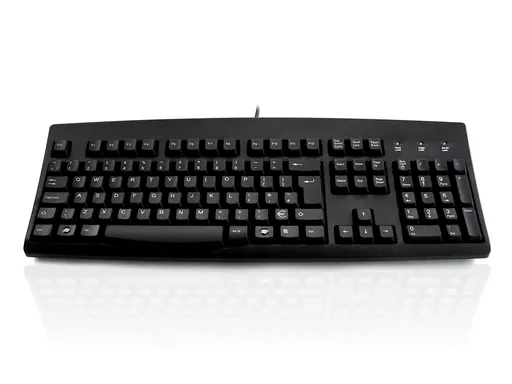 Accuratus 260 keyboard USB English Black