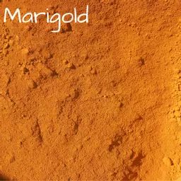 Marigold Pigment