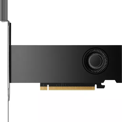 HP NVIDIA RTX PH x2xxx 4mDP Graphics