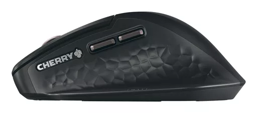 zR6jDXlRdUOi-XscQhaCbQ.c-r.jpg?