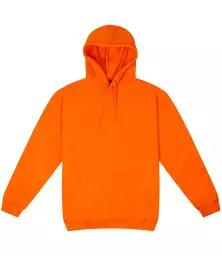 RX350%20ORA%20FRONT%202.jpg?