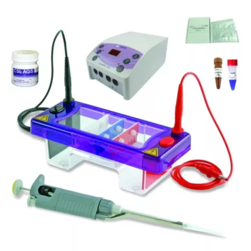 DNA Electrophoresis Labset 1