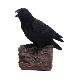 Ravens Cry (2).jpg