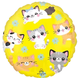 IT381103_1.webp