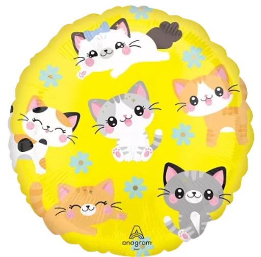 IT381103_1.webp