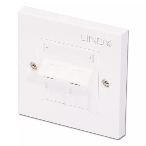 Lindy CAT5e Single Wall Plate with 2 x Angled RJ-45 Shuttered Socket, Unshielded