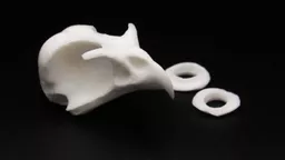 Kestrel Skull 3.jpg