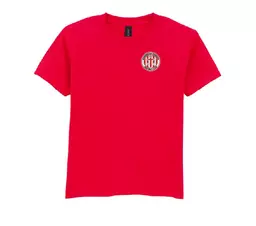 kids red tshirt.png