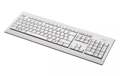 Fujitsu KB521 CH keyboard USB Grey