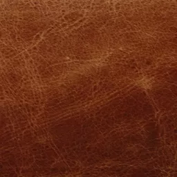 1531314560-45083400.jpg?
