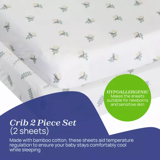 CHICCOBUNDLE04_06.jpg?