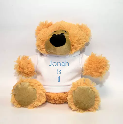 Personalised Teddy Bear Hug - Add Name/Message/Image