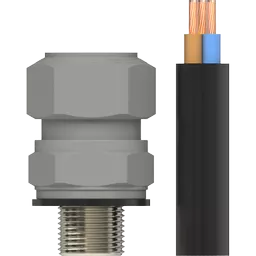053800-MAIN.png