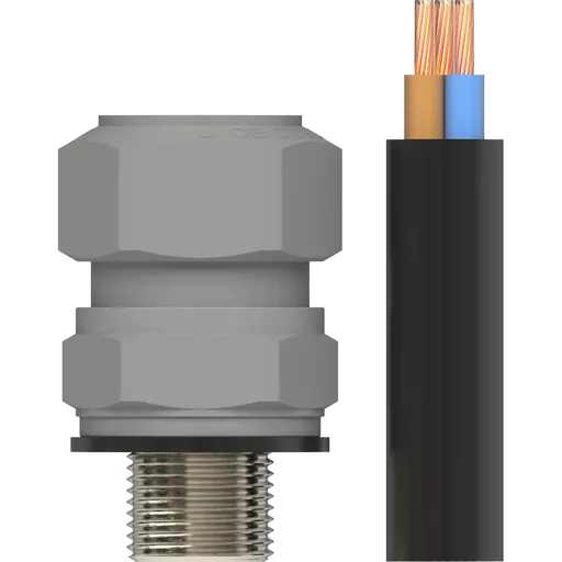 053800-MAIN.png