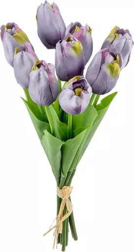 IT393850.jpg