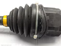 c0c9092a-57c2-494d-9675-9bebfce595ca.jpeg?