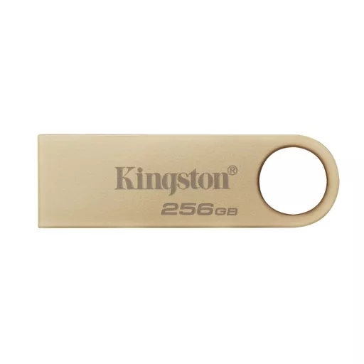 Kingston Technology DataTraveler 256GB 220MB/s Metal USB 3.2 Gen 1 SE9 G3