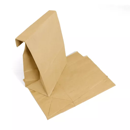 PAPERBAG000852.jpg