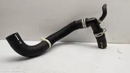 6009ce51-fbbe-49b6-9659-f07b7338e3a7.jpeg?