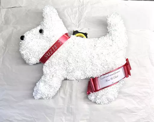 Dog Funeral Tribute - any colour - puppy memorial