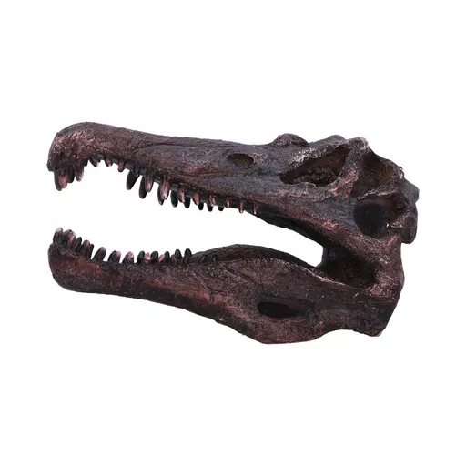Spinosaurus (4).jpg