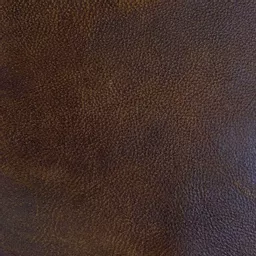1740840162-77515200.jpg?