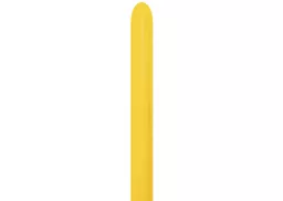 IT379545_1.jpg