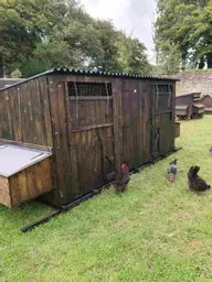 Maxi Poultry House_Image_4.jpg