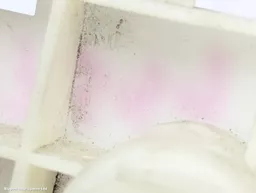 c2698049-30e4-4f35-b051-f69378e09ede.jpeg?