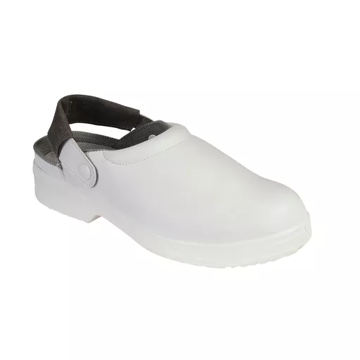 swf-41170-41100.png?