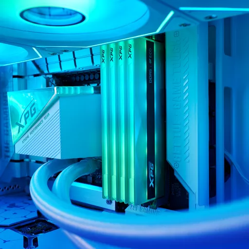 iMO8fPleM0SGQJCeXAOjYQ.c-r.jpg?