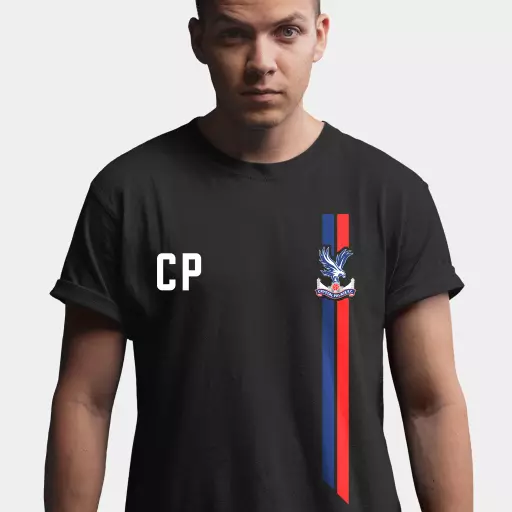 Crystal Palace FC Sport Men's T-Shirt