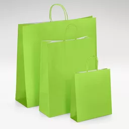 White-kraft-lime-twist-bag-GROUP.jpg