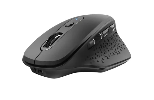 Trust Ozaa mouse Office Right-hand RF Wireless Optical 2400 DPI