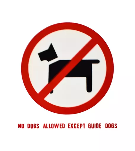 'No Dogs' Adhesive Window Sign - 164mm x 187mm