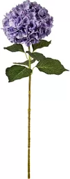 IT393778.jpg