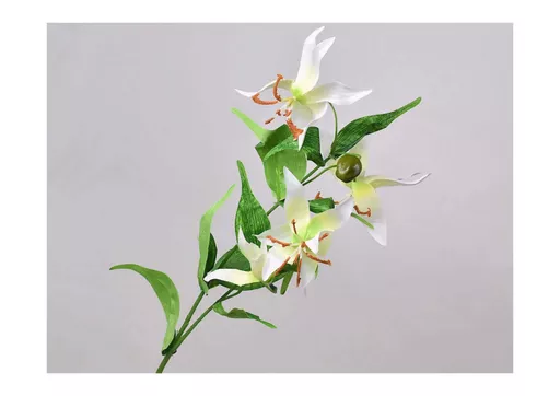 gloriosa - white.jpg