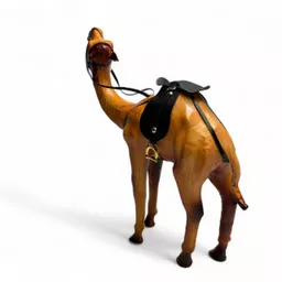 Big Camel 3.jpg